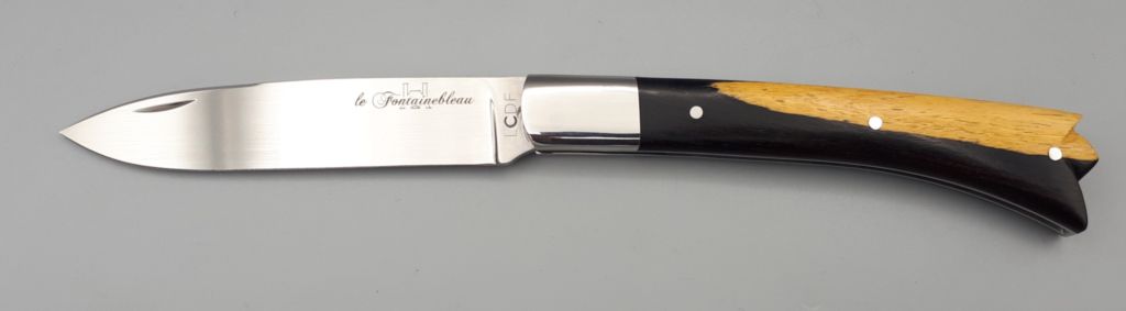 Fontainebleau Slide1